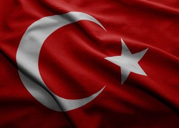 Milletimizin başı sağolsun.??⠀